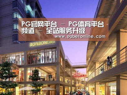 案例展示一(图1)