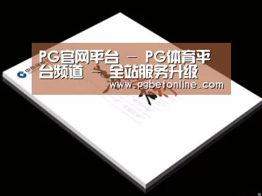 项目名称七