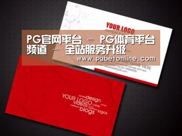 项目名称一