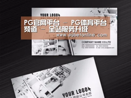 项目名称五