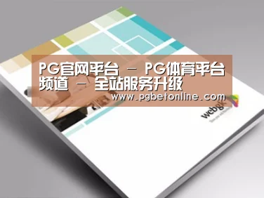 项目名称九