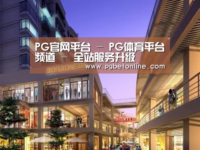 案例展示一