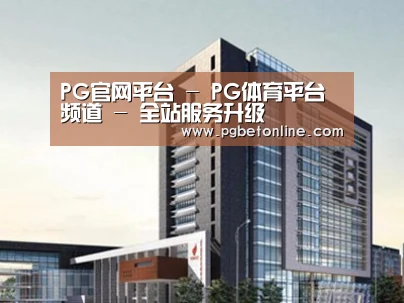 案例展示七