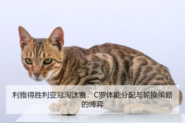li-ya-de-sheng-li-ya-guan-tao-tai-sai-luo-ti-neng-fen-pei-yu-lun-huan-ce-lve-de-bo-yi-3-312.jpg