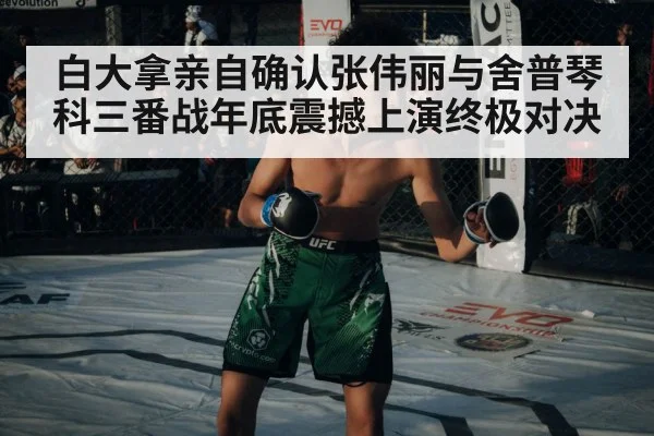白大拿亲自确认张伟丽与舍普琴科三番战年底震撼上演终极对决