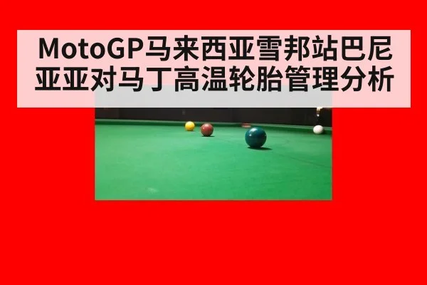 MotoGP马来西亚雪邦站巴尼亚亚对马丁高温轮胎管理分析