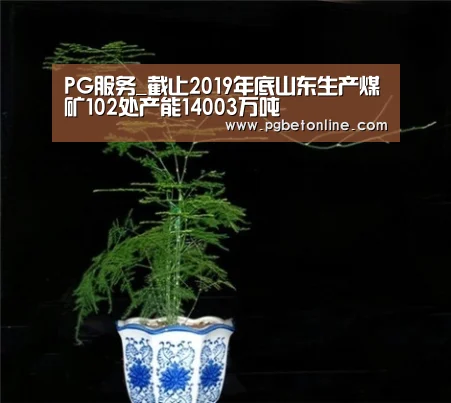 PG服务_截止2019年底山东生产煤矿102处产能14003万吨(图1) PG服务