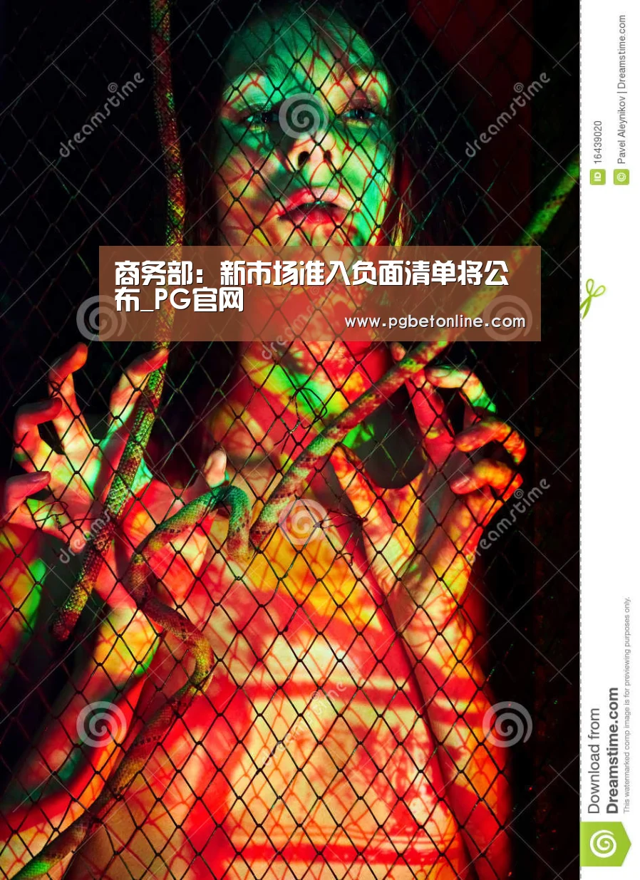 PG服务