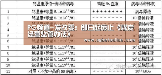 PG服务