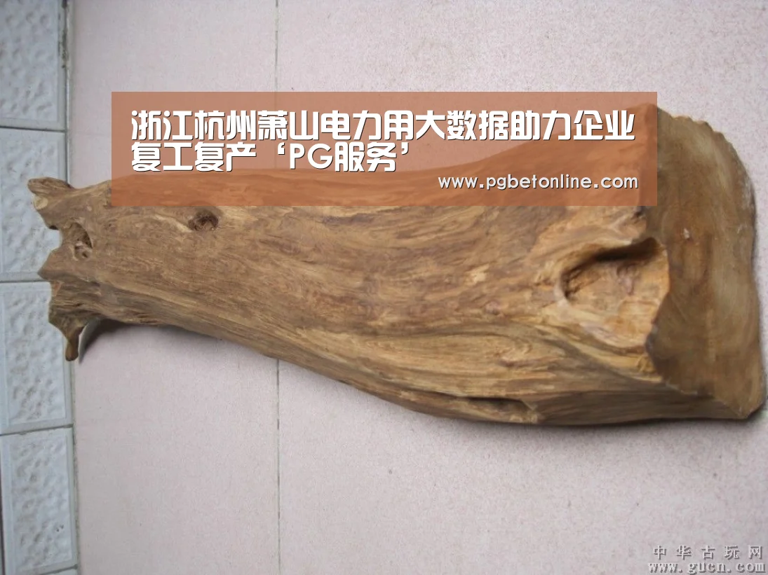 浙江杭州萧山电力用大数据助力企业复工复产‘PG服务’(图1) PG服务