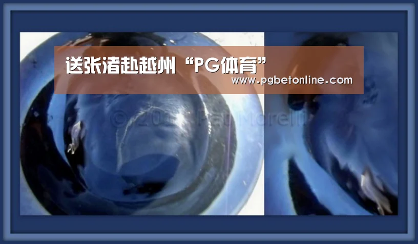 送张渚赴越州“PG体育”(图2) PG官网