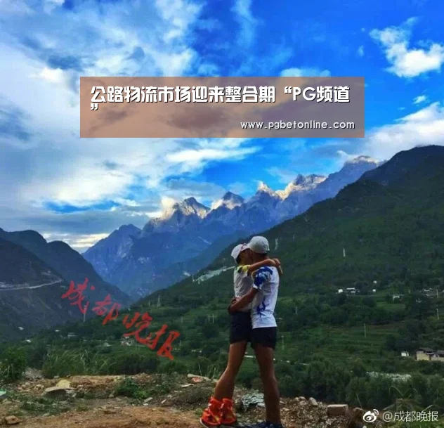公路物流市场迎来整合期“PG频道”(图1) PG频道