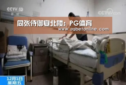 PG官网
