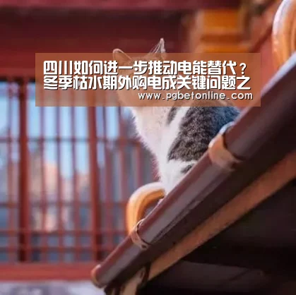 四川如何进一步推动电能替代?冬季枯水期外购电成关键问题之一:PG频道(图1) PG服务