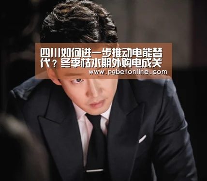 四川如何进一步推动电能替代?冬季枯水期外购电成关键问题之一:PG频道(图2) PG体育