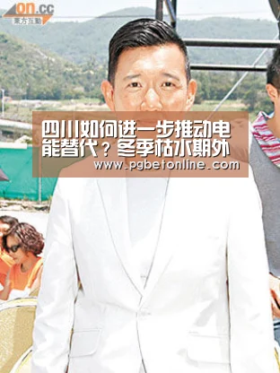 四川如何进一步推动电能替代?冬季枯水期外购电成关键问题之一:PG频道(图4) PG服务