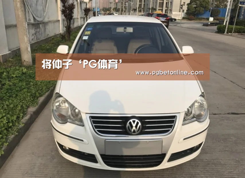 将仲子‘PG体育’(图1) PG频道