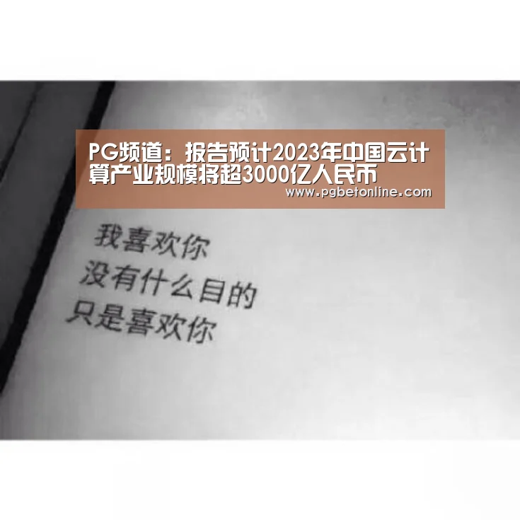PG频道:报告预计2023年中国云计算产业规模将超3000亿人民币(图4) PG服务