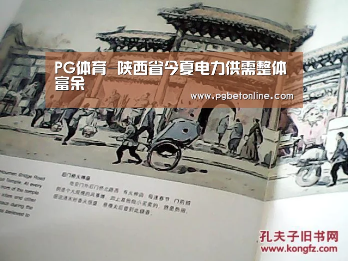 PG体育
