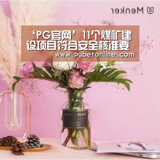PG体育