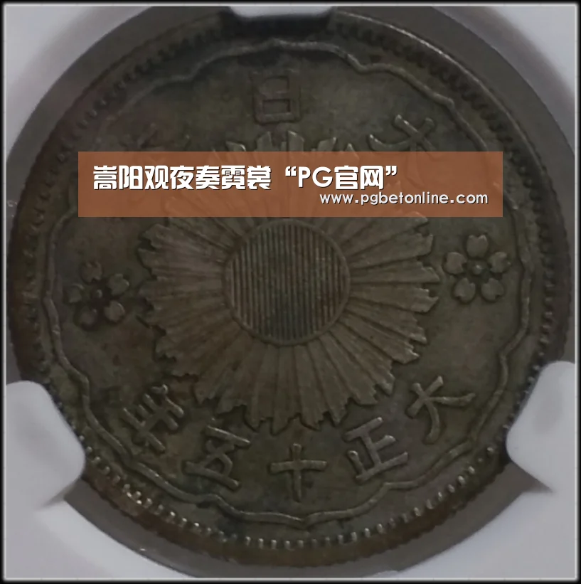 嵩阳观夜奏霓裳“PG官网”(图2) PG体育
