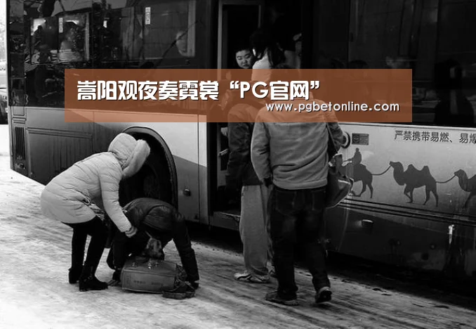嵩阳观夜奏霓裳“PG官网”(图3) PG体育