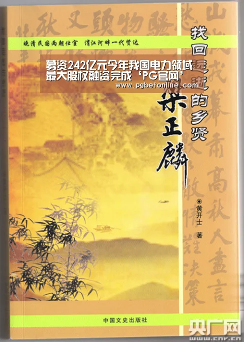 募资242亿元今年我国电力领域最大股权融资完成‘PG官网’(图2) PG官网