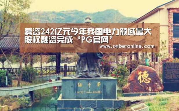 募资242亿元今年我国电力领域最大股权融资完成‘PG官网’(图3) PG体育