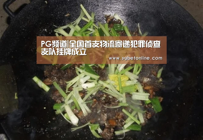 PG官网