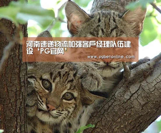 河南速递物流加强客户经理队伍建设‘PG官网’(图3) PG频道